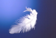 Angeli, Arcangeli e Terapia angelica