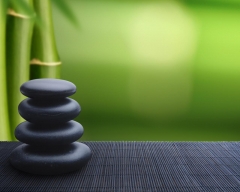 LO ZEN e l'ARTE delle PULIZIE