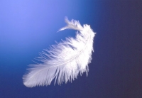 ANGELI, ARCANGELI E TERAPIA ANGELICA
