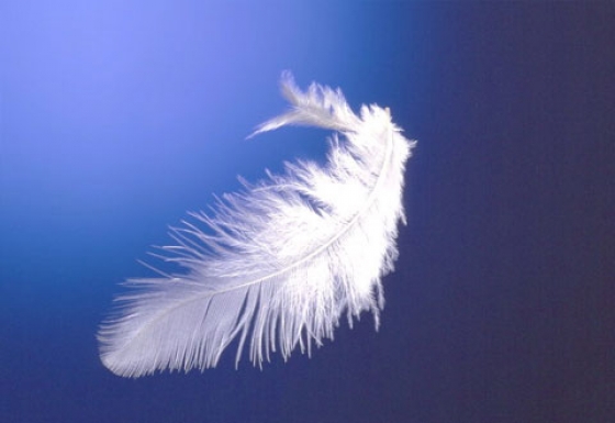 ANGELI, ARCANGELI E TERAPIA ANGELICA