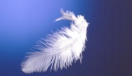 ANGELI, ARCANGELI E TERAPIA ANGELICA